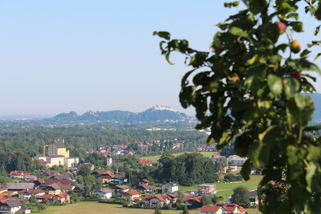 Haus Haslach Elsbethen Pokoj fotografie